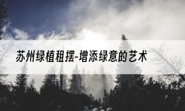 苏州绿植租摆-增添绿意的艺术