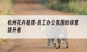 杭州花卉租摆-员工办公氛围的绿意提升者