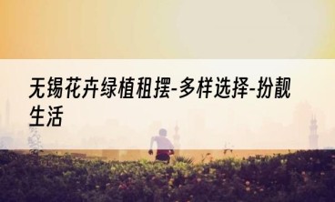 无锡花卉绿植租摆-多样选择-扮靓生活