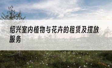 绍兴室内植物与花卉的租赁及摆放服务