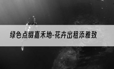 绿色点缀嘉禾地-花卉出租添雅致