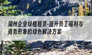 湖州企业绿植租赁-提升员工福利与商务形象的绿色解决方案