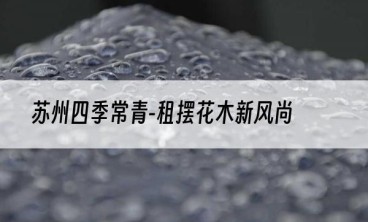 苏州四季常青-租摆花木新风尚