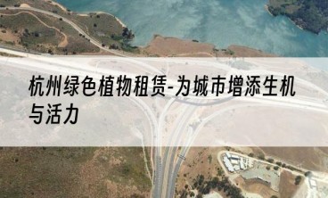杭州绿色植物租赁-为城市增添生机与活力