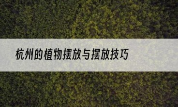 杭州的植物摆放与摆放技巧
