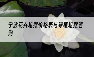 宁波花卉租摆价格表与绿植租摆咨询