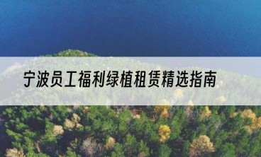 宁波员工福利绿植租赁精选指南