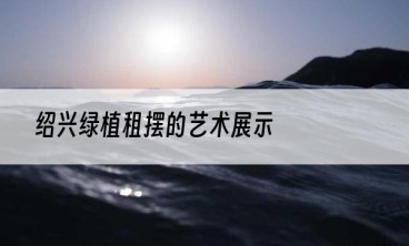 绍兴绿植租摆的艺术展示
