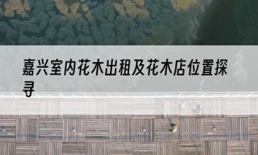 嘉兴室内花木出租及花木店位置探寻