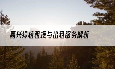 嘉兴绿植租摆与出租服务解析