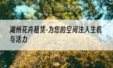 湖州花卉租赁-为您的空间注入生机与活力