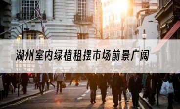 湖州室内绿植租摆市场前景广阔