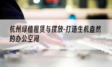 杭州绿植租赁与摆放-打造生机盎然的办公空间