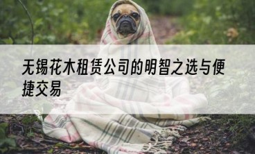 无锡花木租赁公司的明智之选与便捷交易
