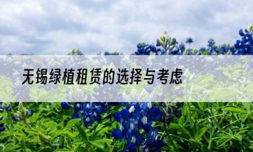 无锡绿植租赁的选择与考虑