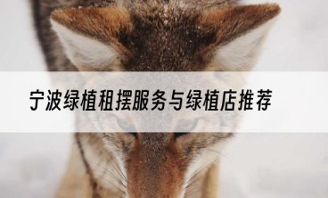 宁波绿植租摆服务与绿植店推荐
