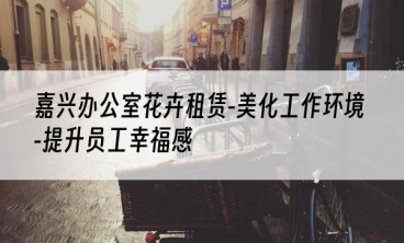嘉兴办公室花卉租赁-美化工作环境-提升员工幸福感