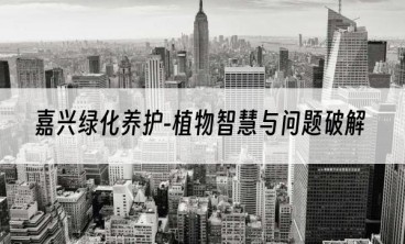 嘉兴绿化养护-植物智慧与问题破解