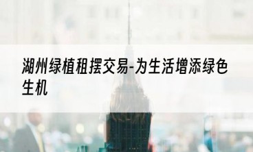 湖州绿植租摆交易-为生活增添绿色生机