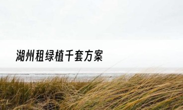 湖州租绿植千套方案