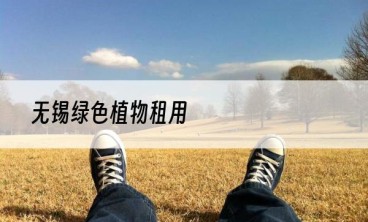 无锡绿色植物租用