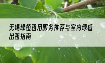 无锡绿植租用服务推荐与室内绿植出租指南