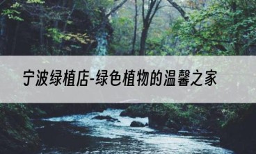 宁波绿植店-绿色植物的温馨之家