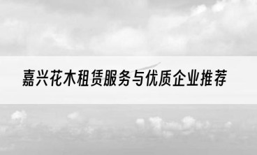 嘉兴花木租赁服务与优质企业推荐