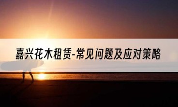 嘉兴花木租赁-常见问题及应对策略