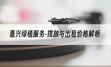 嘉兴绿植服务-摆放与出租价格解析