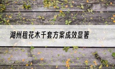 湖州租花木千套方案成效显著