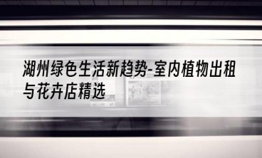 湖州绿色生活新趋势-室内植物出租与花卉店精选