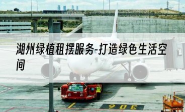 湖州绿植租摆服务-打造绿色生活空间