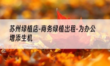 苏州绿植店-商务绿植出租-为办公增添生机