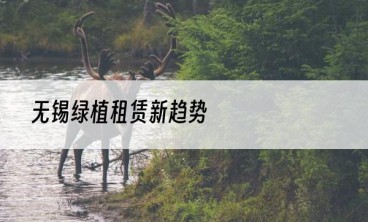无锡绿植租赁新趋势