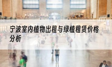 宁波室内植物出租与绿植租赁价格分析