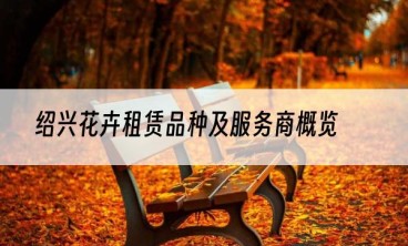 绍兴花卉租赁品种及服务商概览