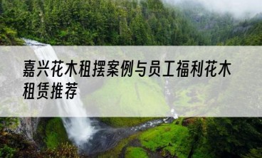 嘉兴花木租摆案例与员工福利花木租赁推荐