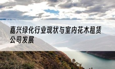嘉兴绿化行业现状与室内花木租赁公司发展