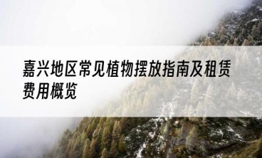 嘉兴地区常见植物摆放指南及租赁费用概览