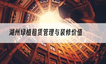 湖州绿植租赁管理与装修价值