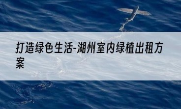 打造绿色生活-湖州室内绿植出租方案