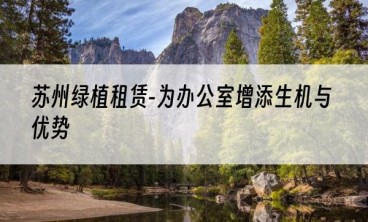 苏州绿植租赁-为办公室增添生机与优势