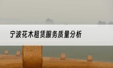 宁波花木租赁服务质量分析