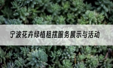宁波花卉绿植租摆服务展示与活动
