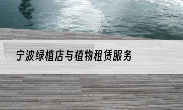 宁波绿植店与植物租赁服务