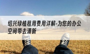 绍兴绿植租用费用详解-为您的办公空间带去清新