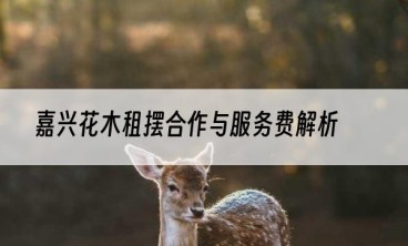嘉兴花木租摆合作与服务费解析