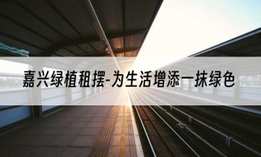 嘉兴绿植租摆-为生活增添一抹绿色