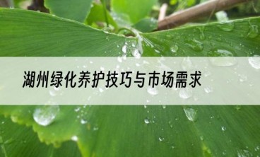 湖州绿化养护技巧与市场需求